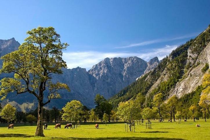 Alpenfreund Apartment Mittenwald Bagian luar foto