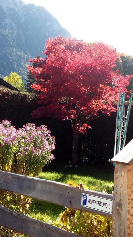 Alpenfreund Apartment Mittenwald Bagian luar foto